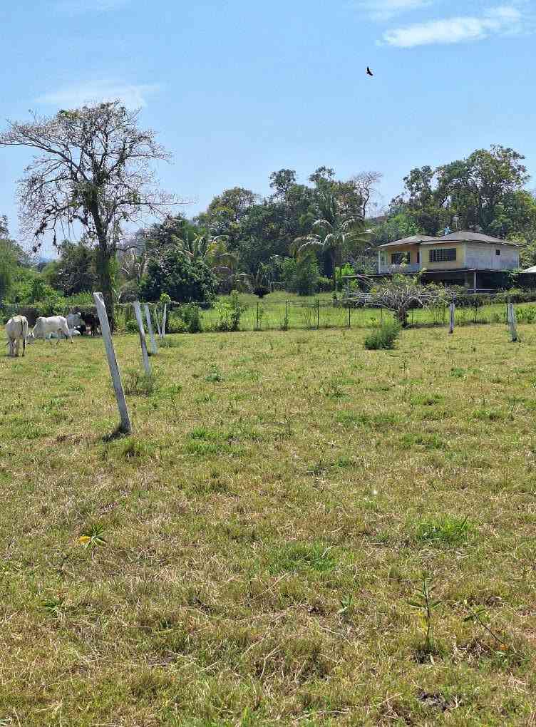 Terrenos en venta en Benito Juárez, Ciudad de México