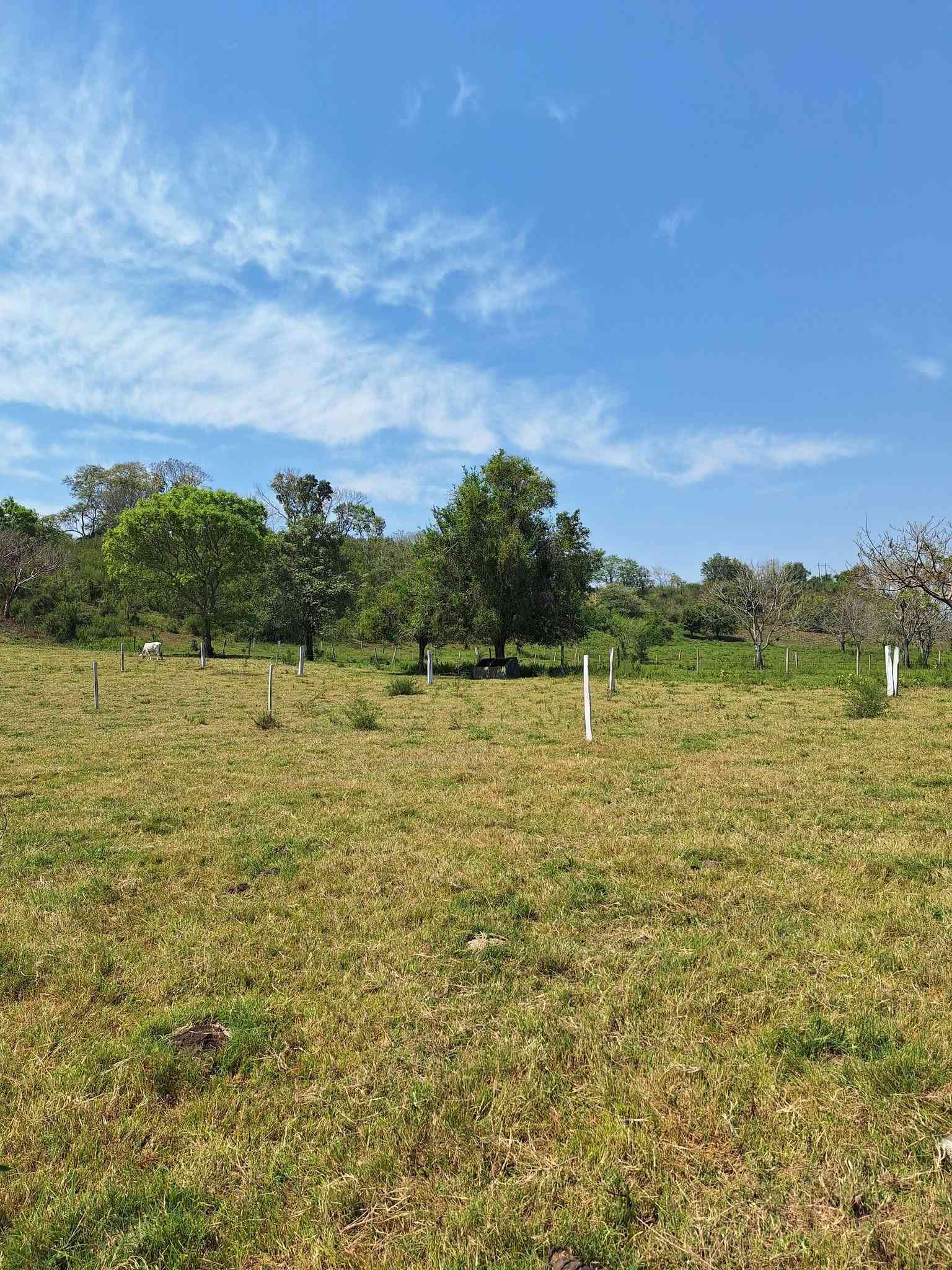Terreno con plusvalía - Benito Juárez, Ciudad de México