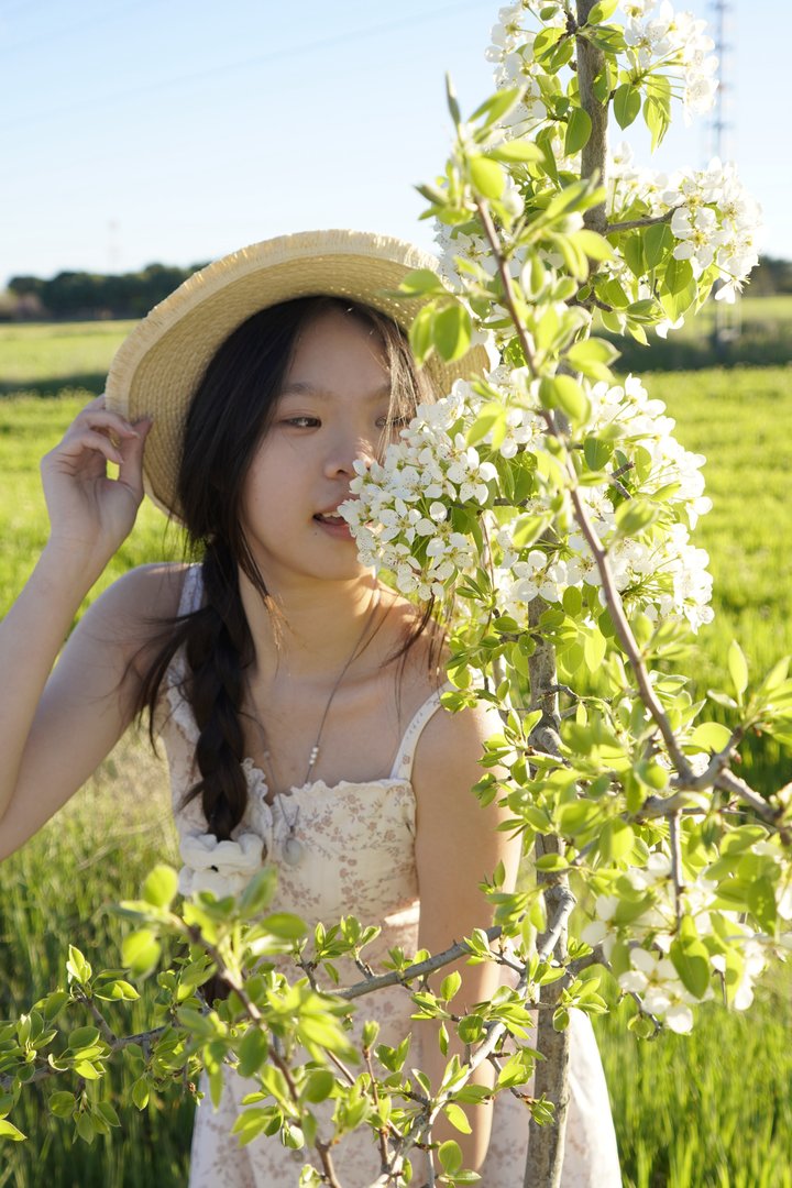 Publicación de Yongjiao Chen en HolliModels