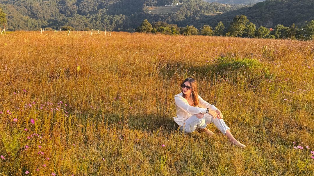 Publicación de Paola Mañon en HolliModels