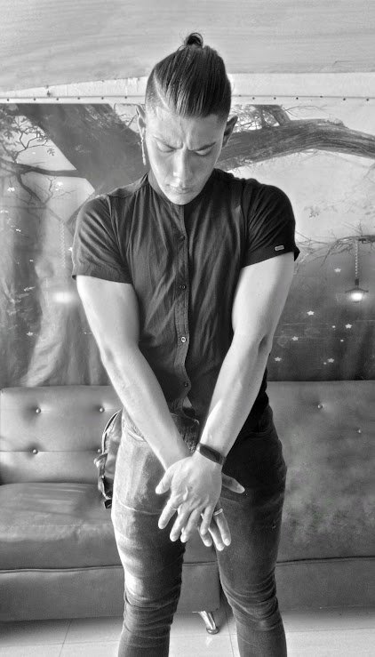 Publicación de David Sebastian Chaux Gomez en HolliModels