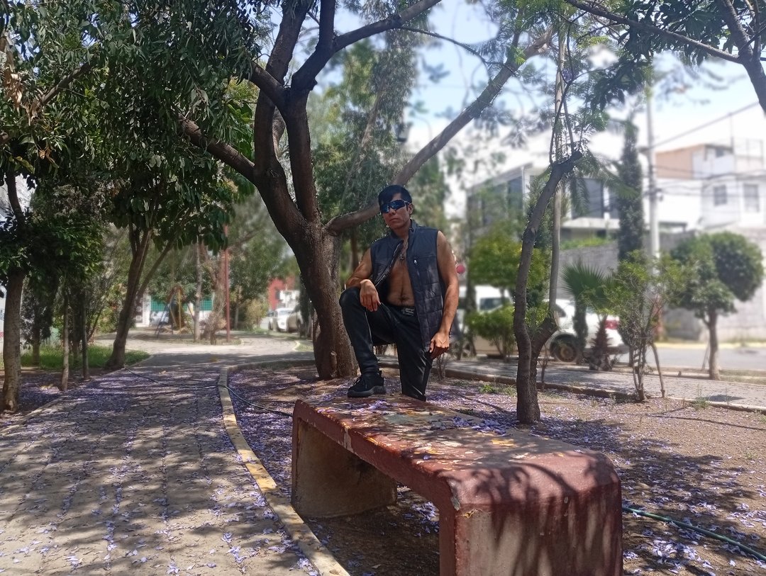Publicación de Tristán Guzmán Lora en HolliModels