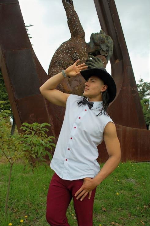 Publicación de David Sebastian Chaux Gomez en HolliModels