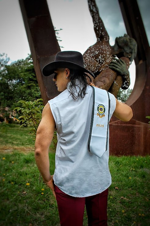 Publicación de David Sebastian Chaux Gomez en HolliModels