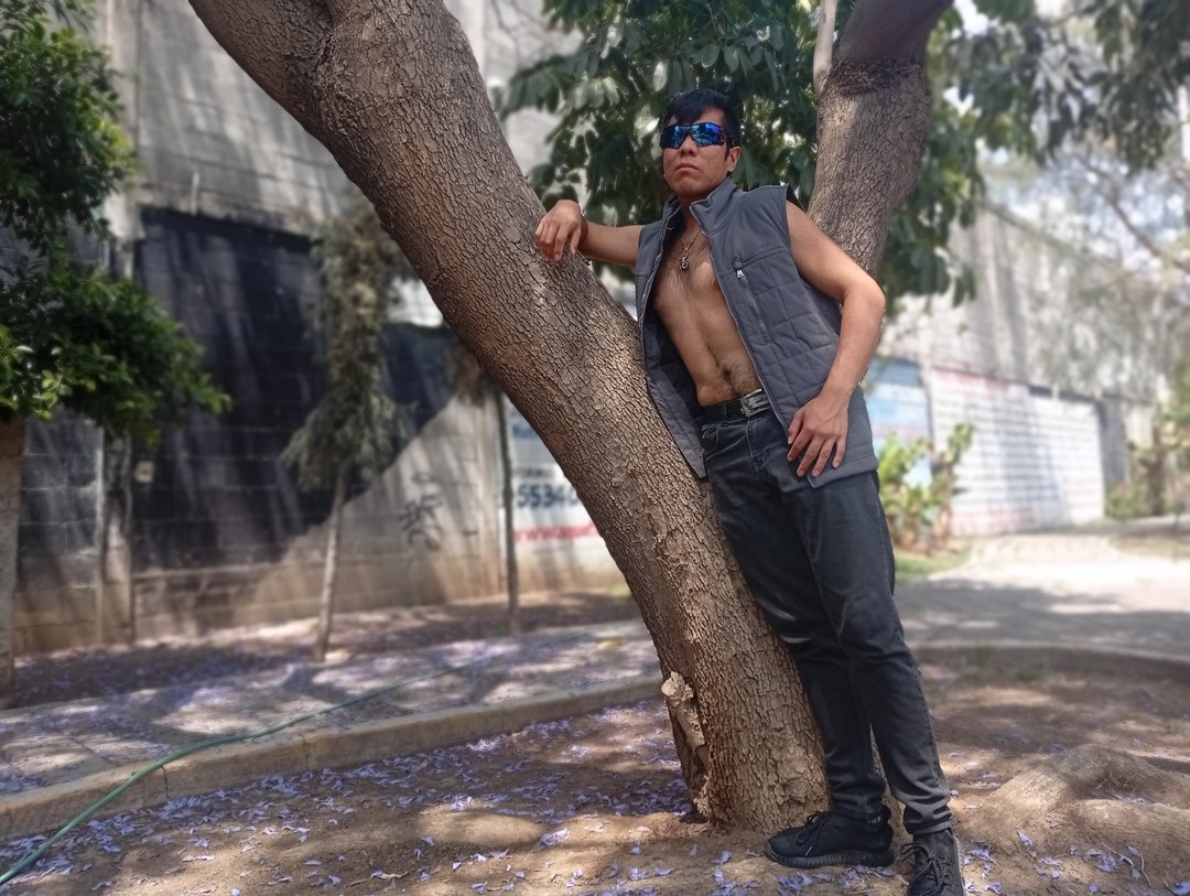 Publicación de Tristán Guzmán Lora en HolliModels