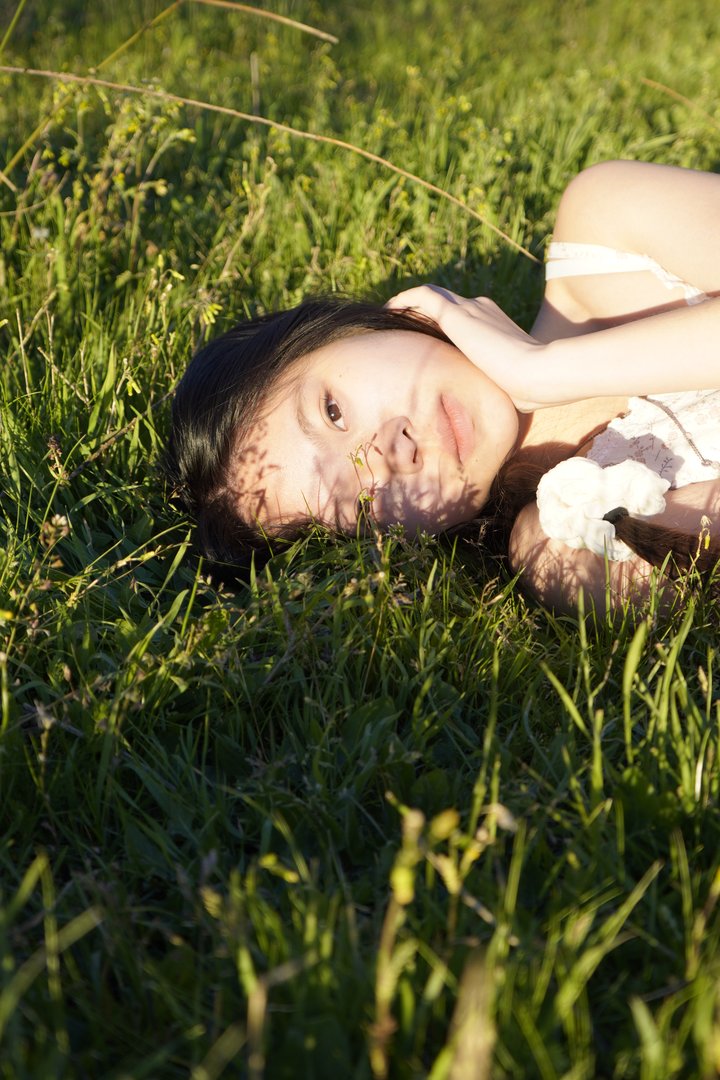 Publicación de Yongjiao Chen en HolliModels