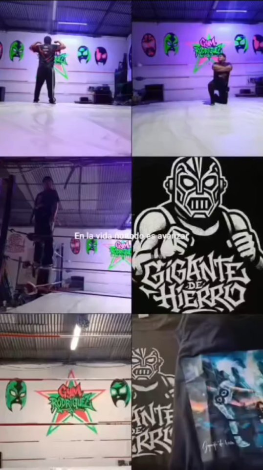 Publicación de Gigante de hierro en HolliModels
