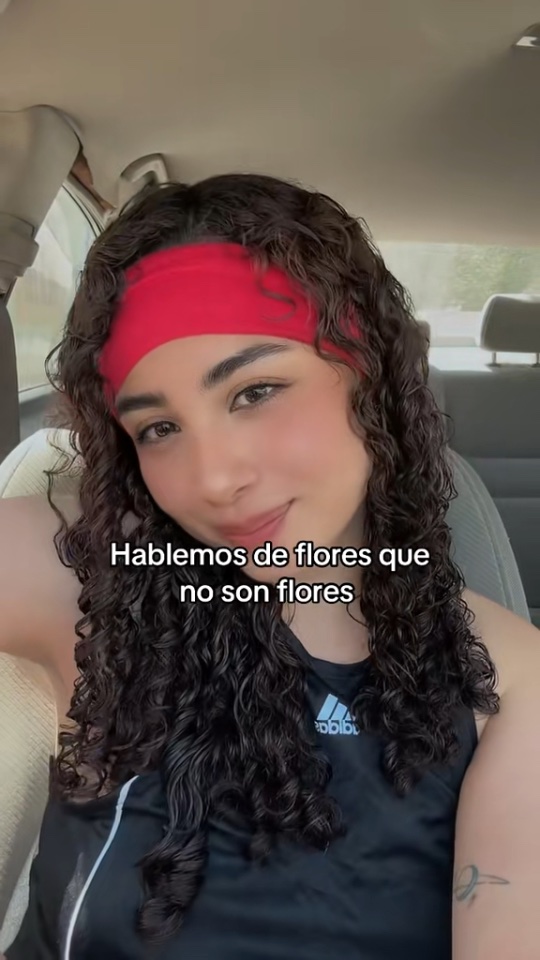 Publicación de Itzel Saavedra Cordova en HolliModels