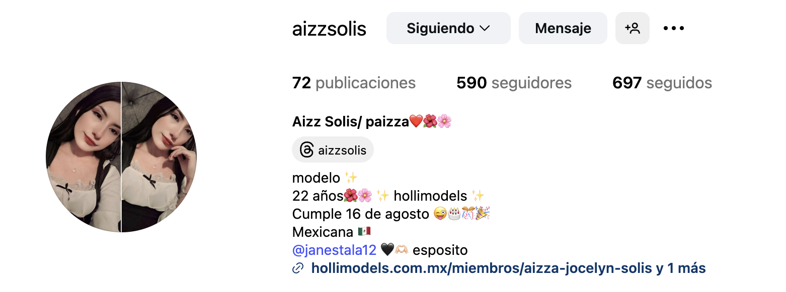 Ejemplo de perfil de modelo Aizz Solis
