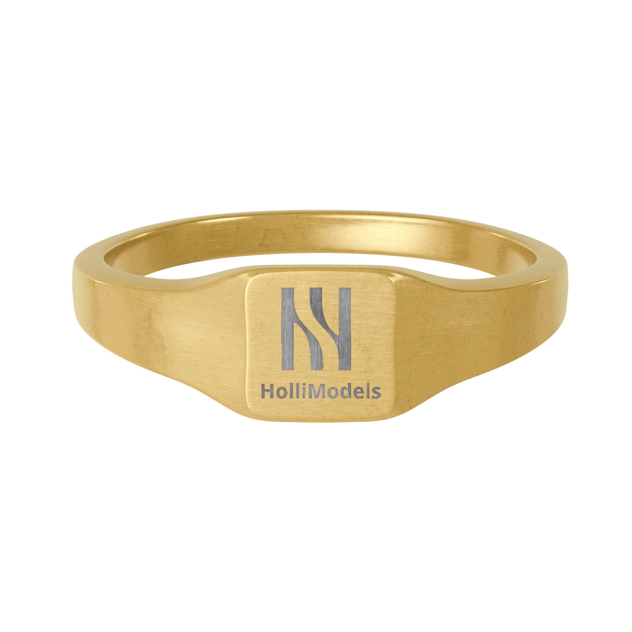 Nuevo Anillo HolliModels